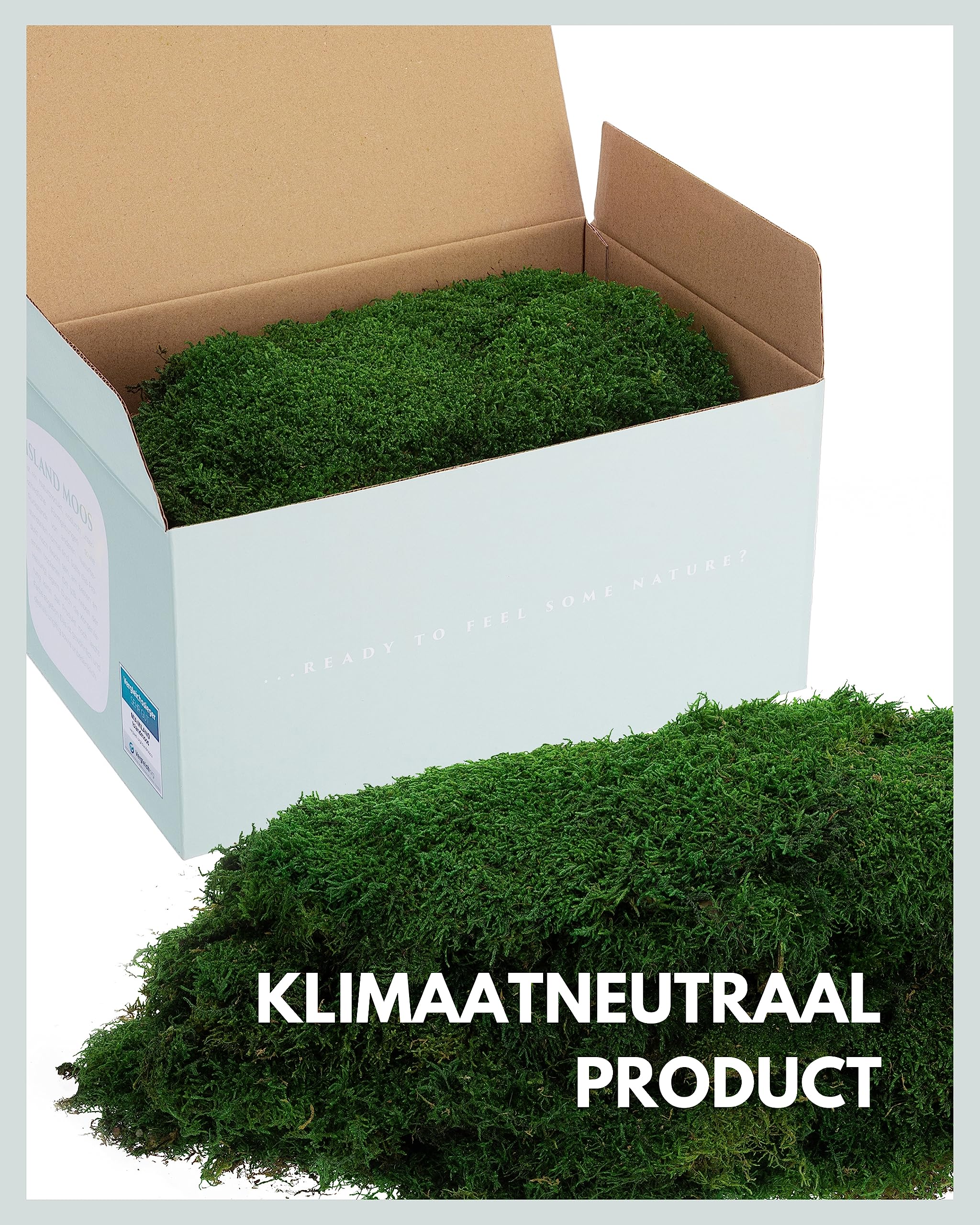 Breng de natuur n hus met decorateve wandpanelen n hout, kokos