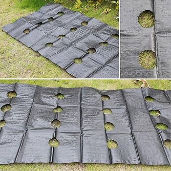 Agfabric Weed Barrier Landscape Fabric 4ft X 6ft With Planting Holes - Heavy Duty Polypropylene For Gardens & Beds