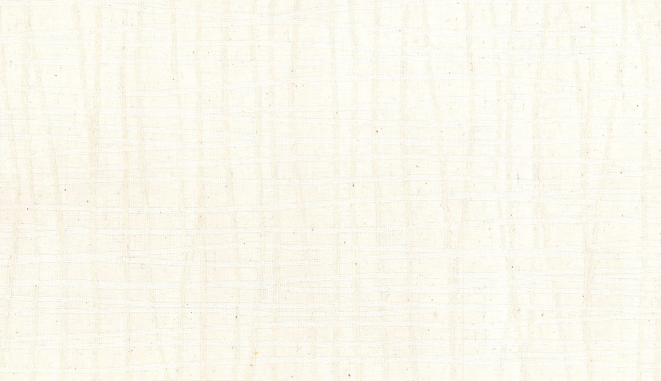 Estoralis - Aitana - Store Enrouleur Tamisant, 150 x 175 cm, Couleur Ecru