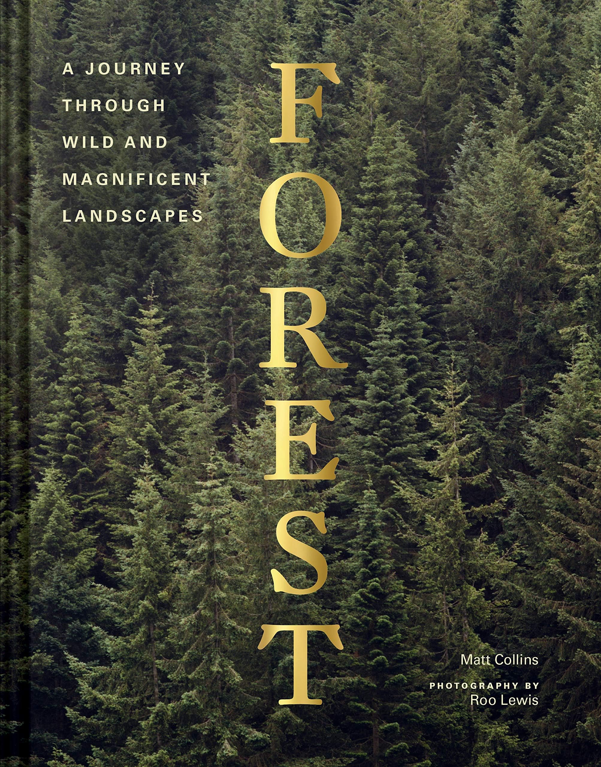 Chronicle Books Forest: Walking among trees