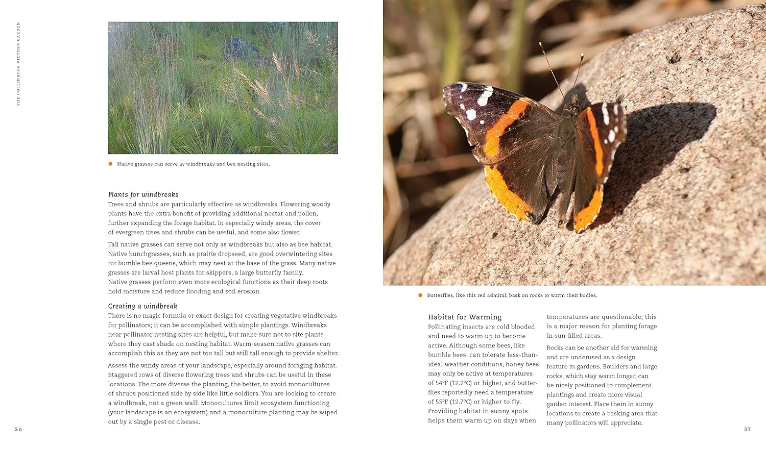 The Pollinator Victory Garden: Win the War on Pollinator Decline with Ecological Gardening; Attract and Support Bees, Beetles, Butterflies, Bats, and Other Pollinators image 5