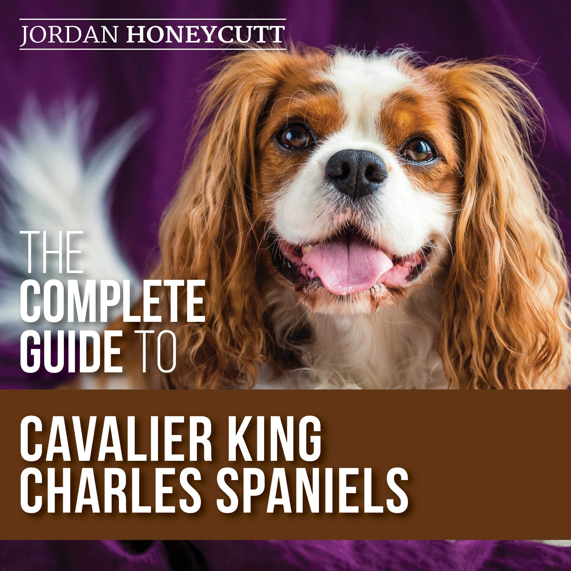 The Complete Guide to Cavalier King Charles Spaniels