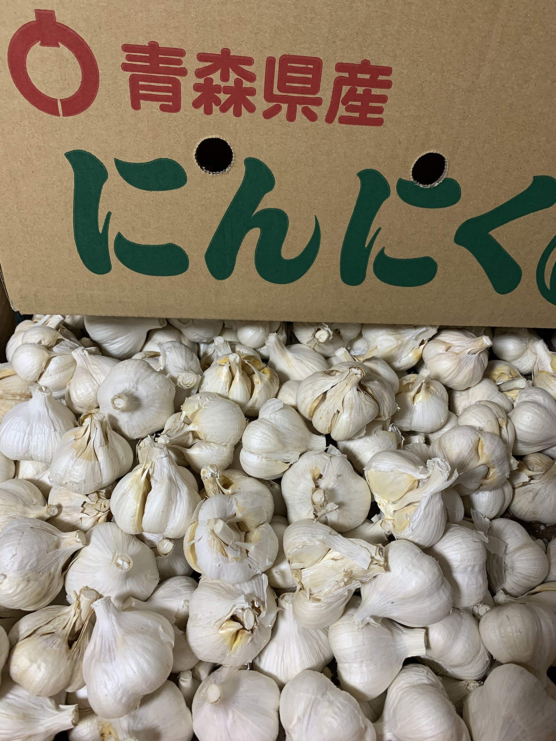 青森県にんにく20Kg M 【公式通販】