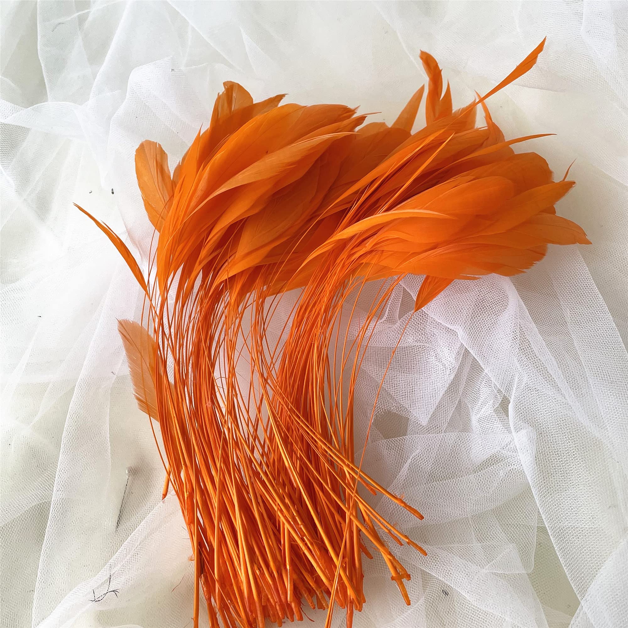 Ventaglio Di Piume Di Struzzo Tinte 14-16 Cm - 32 Piume Per Millinery E Decorazioni Fai Da Te