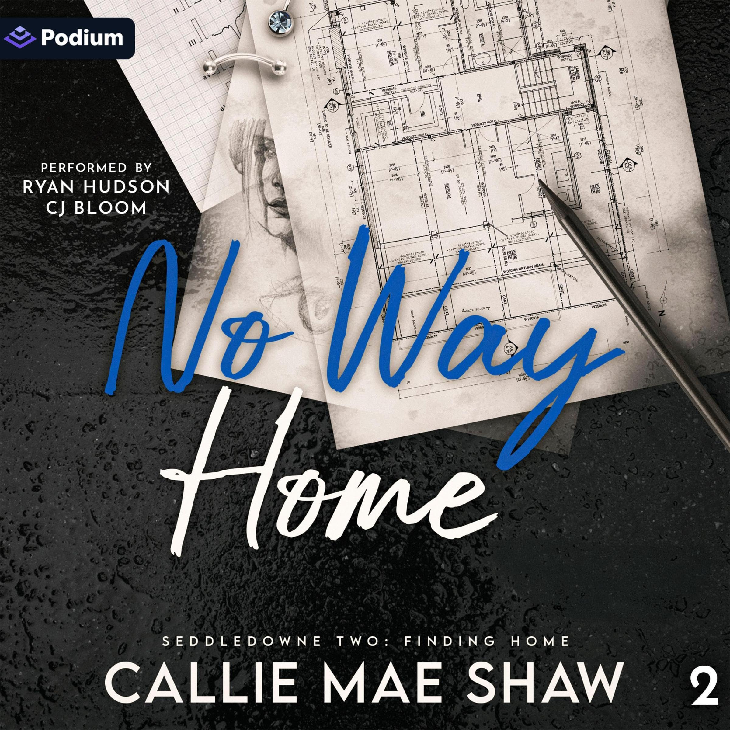 Cover art for No Way Home