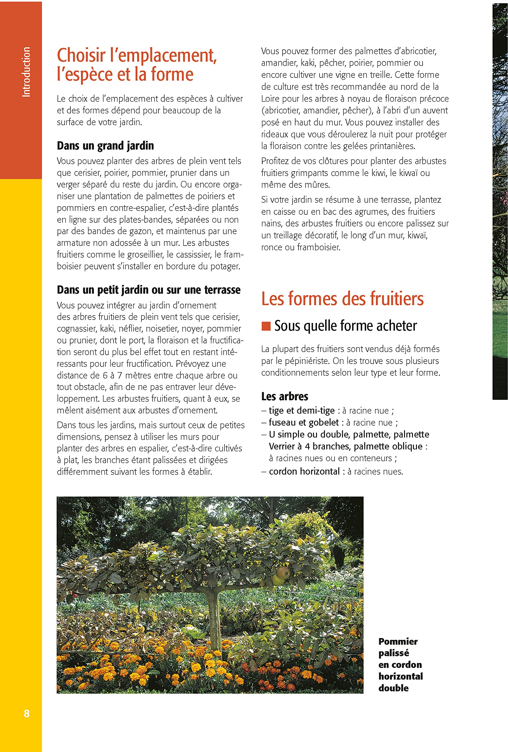 Taillez tous les arbres fruitiers