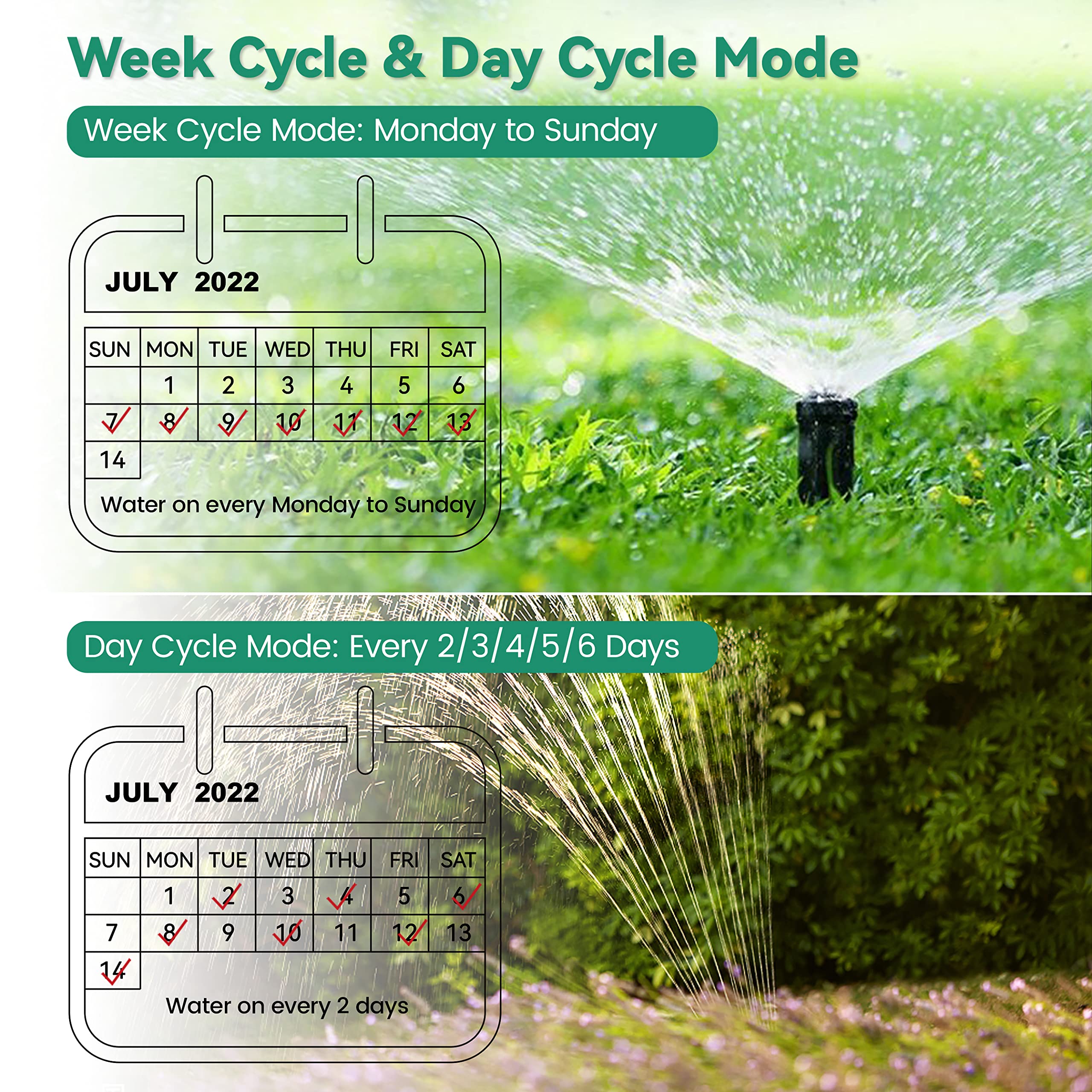 Buy RAINPOINT Sprinkler Timer, Programmable Hose Timer with 3