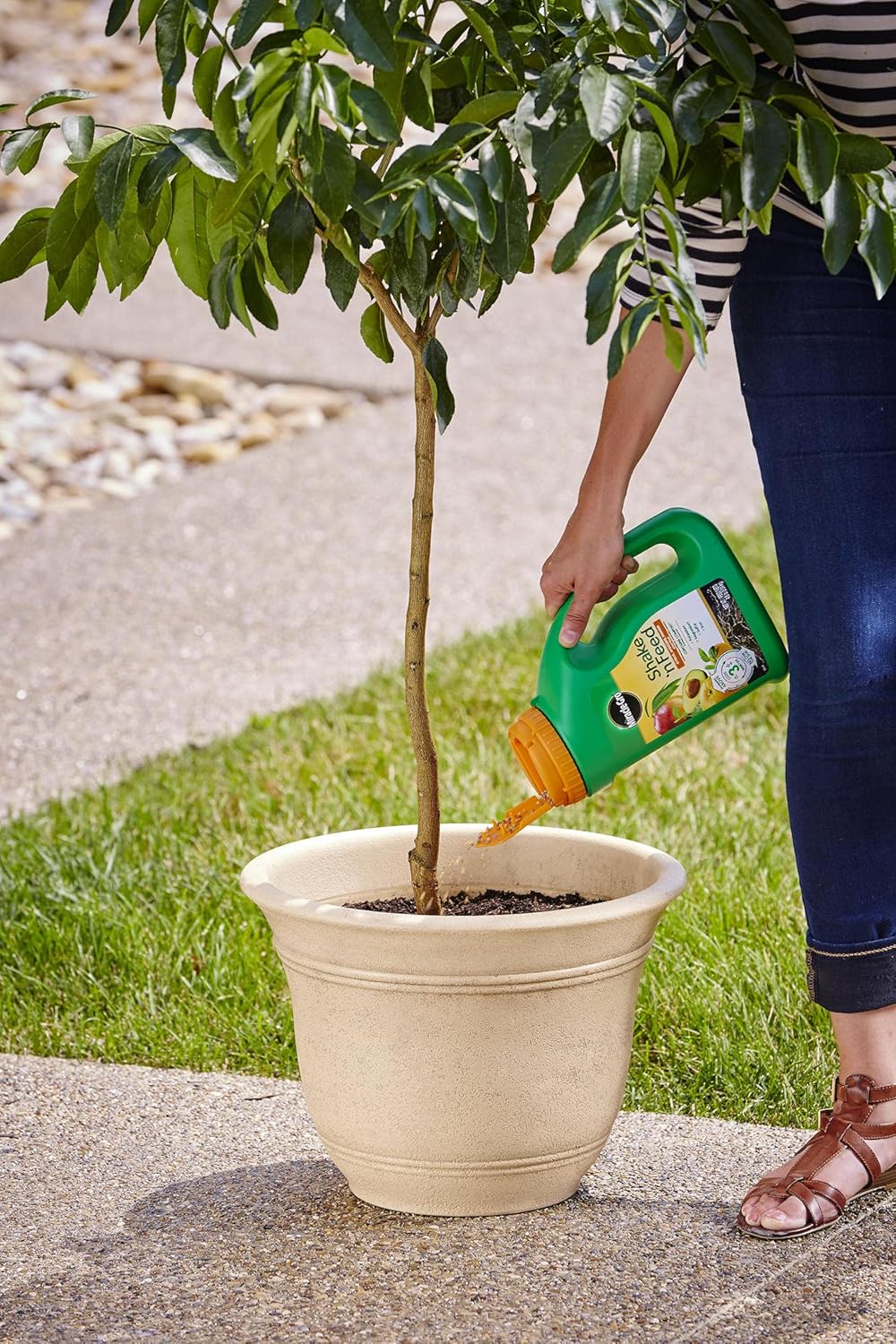 Buy MiracleGro Shake 'N Feed Citrus, Avocado, Mango Plant Food Online