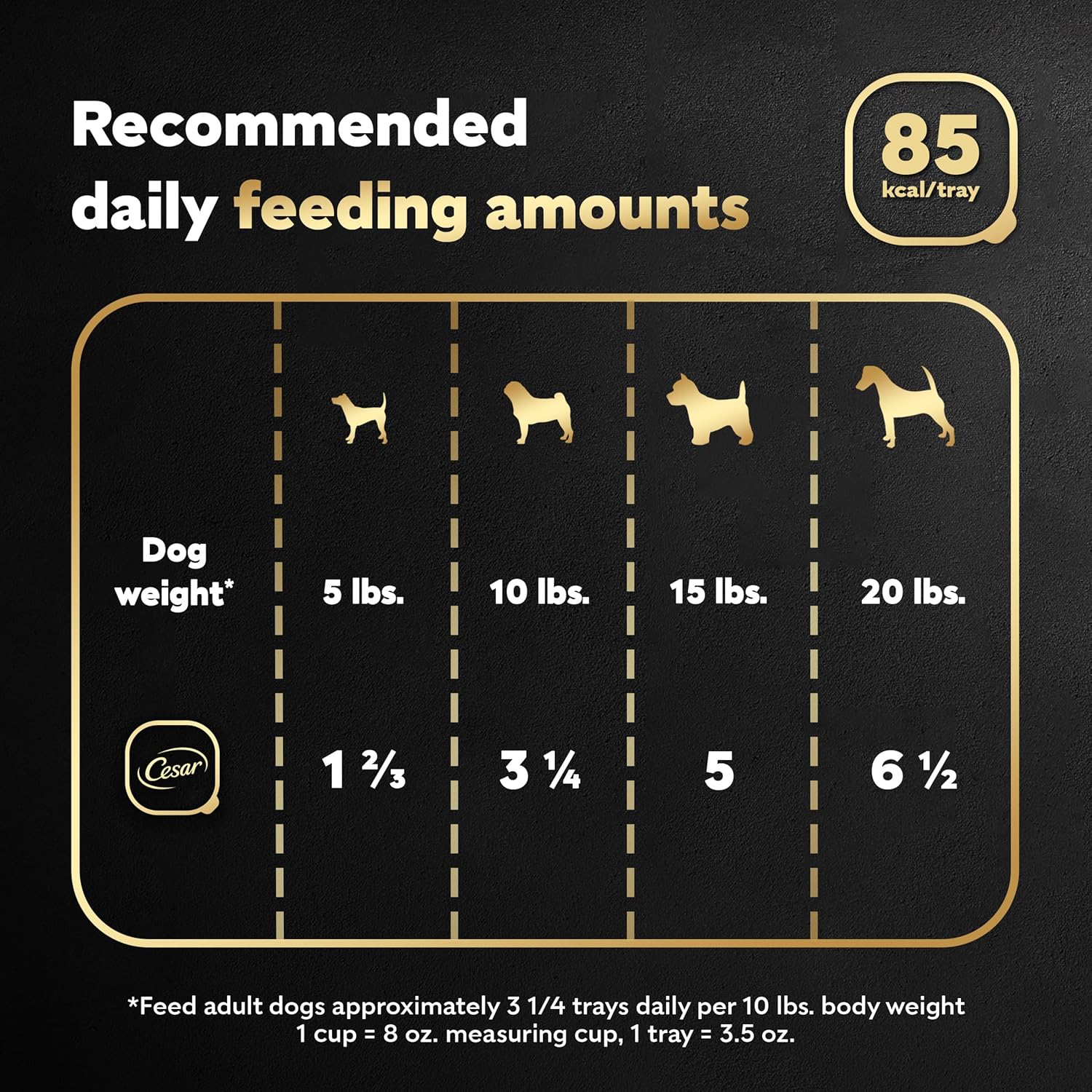 Cesar Filets in Gravy, Adult Wet Dog Food, Rotisserie Chicken Flavor, Wet Food for Dogs, 3.5 oz Trays, 24 Count (Pack of 2)