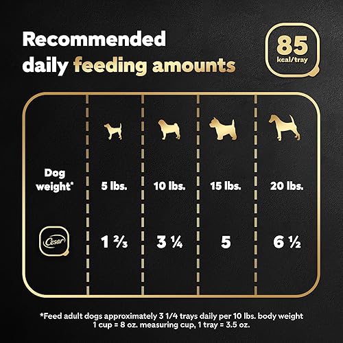 Miniatura 15 de CESAR - Filetes de comida húmeda suave para perros adultos en salsa sabor Prime Rib (24) bandejas de 3.5 onzas bandejas