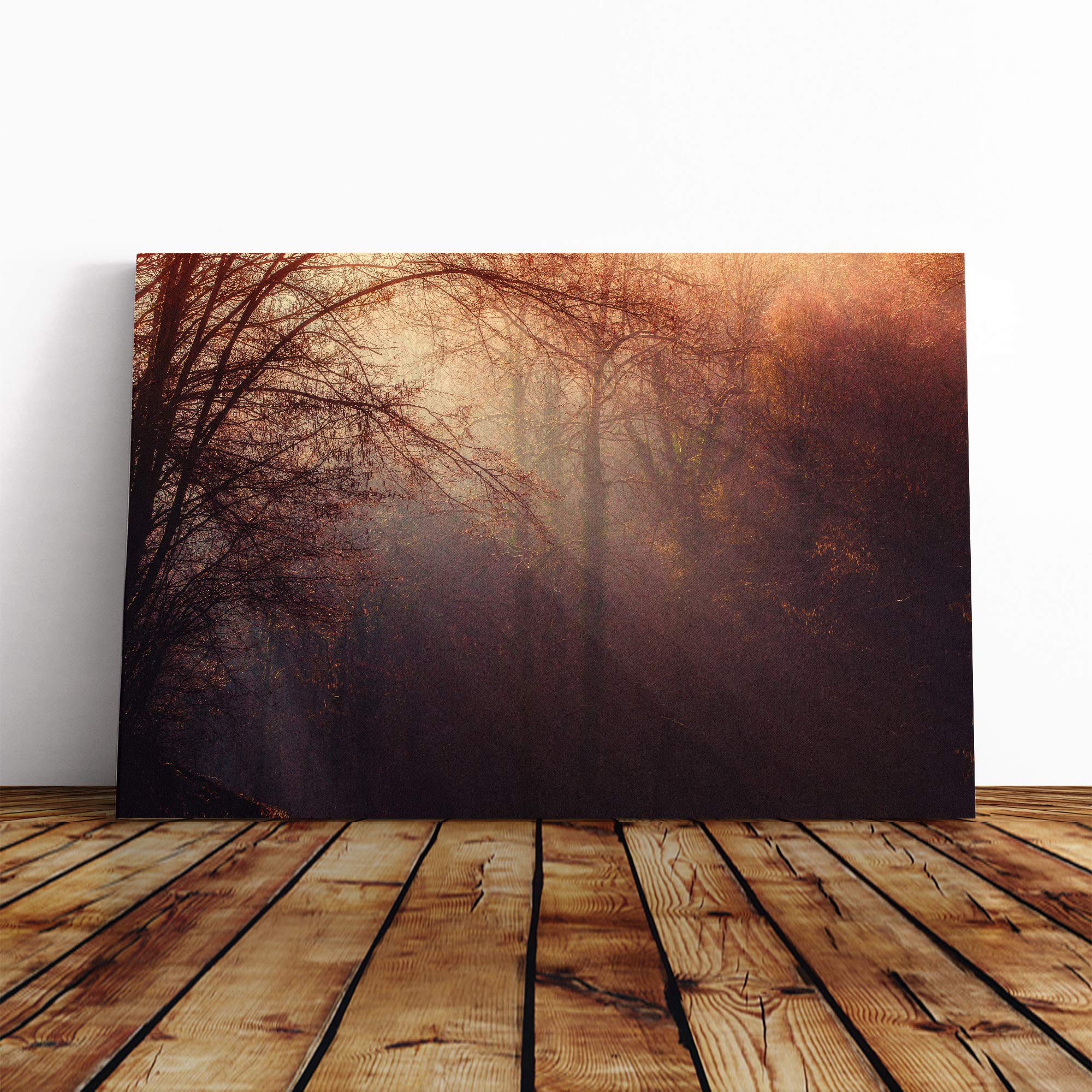 Forest Sunlight (2) Canvas Print | Gallery Wrapped 30mm Frame Wall Art | 30x20 inches | Ready to Hang | Modern Landscape Picture | Living Room Bedroom Lounge Office