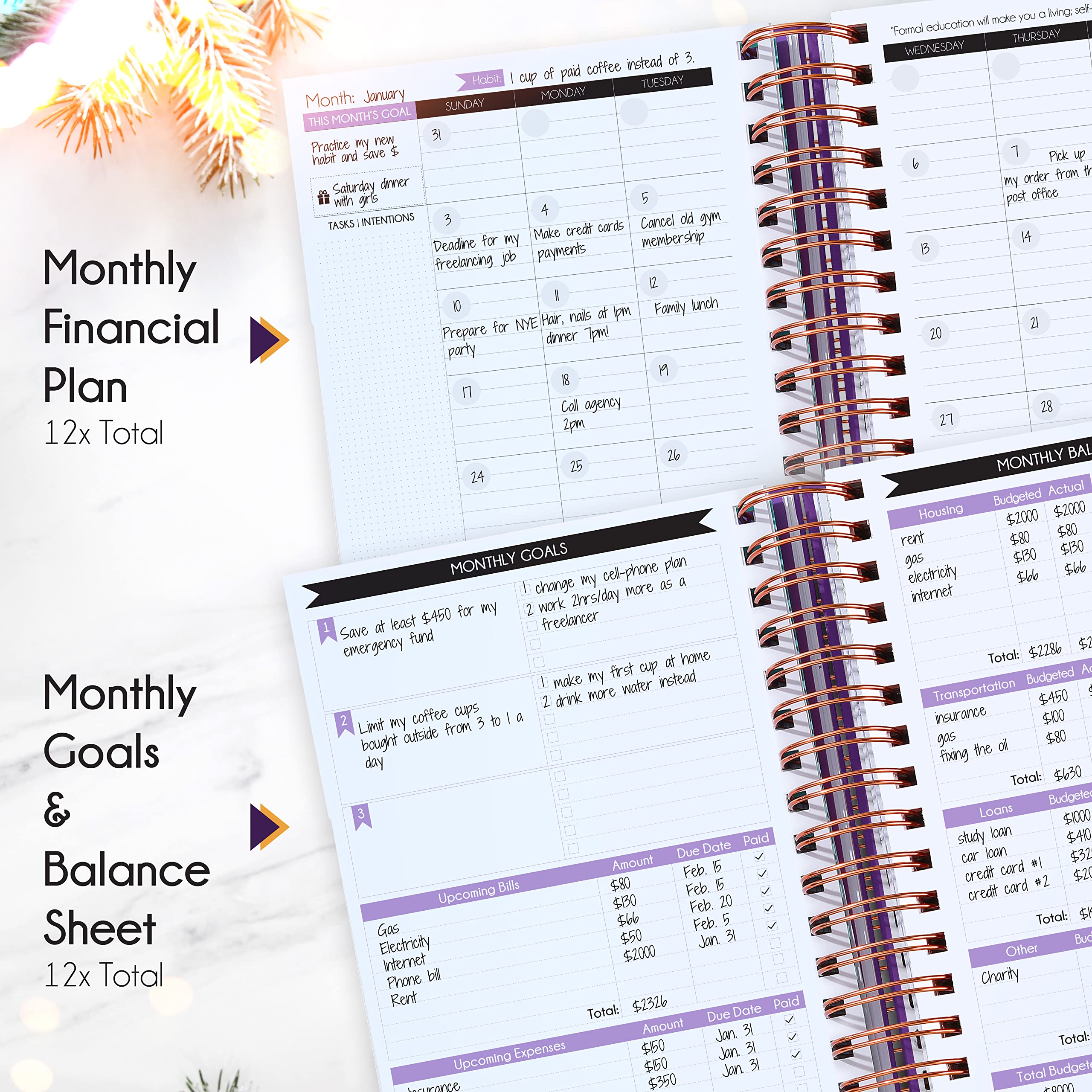 Finanzplaner & Monatsbudget Organizer – 12-Monats-Budgetbuch zur Geldverwaltung | Undatierter A5 Deluxe Budget-Planer mit Ausgaben-Tracker, Zielsetzung & Sparübersicht
