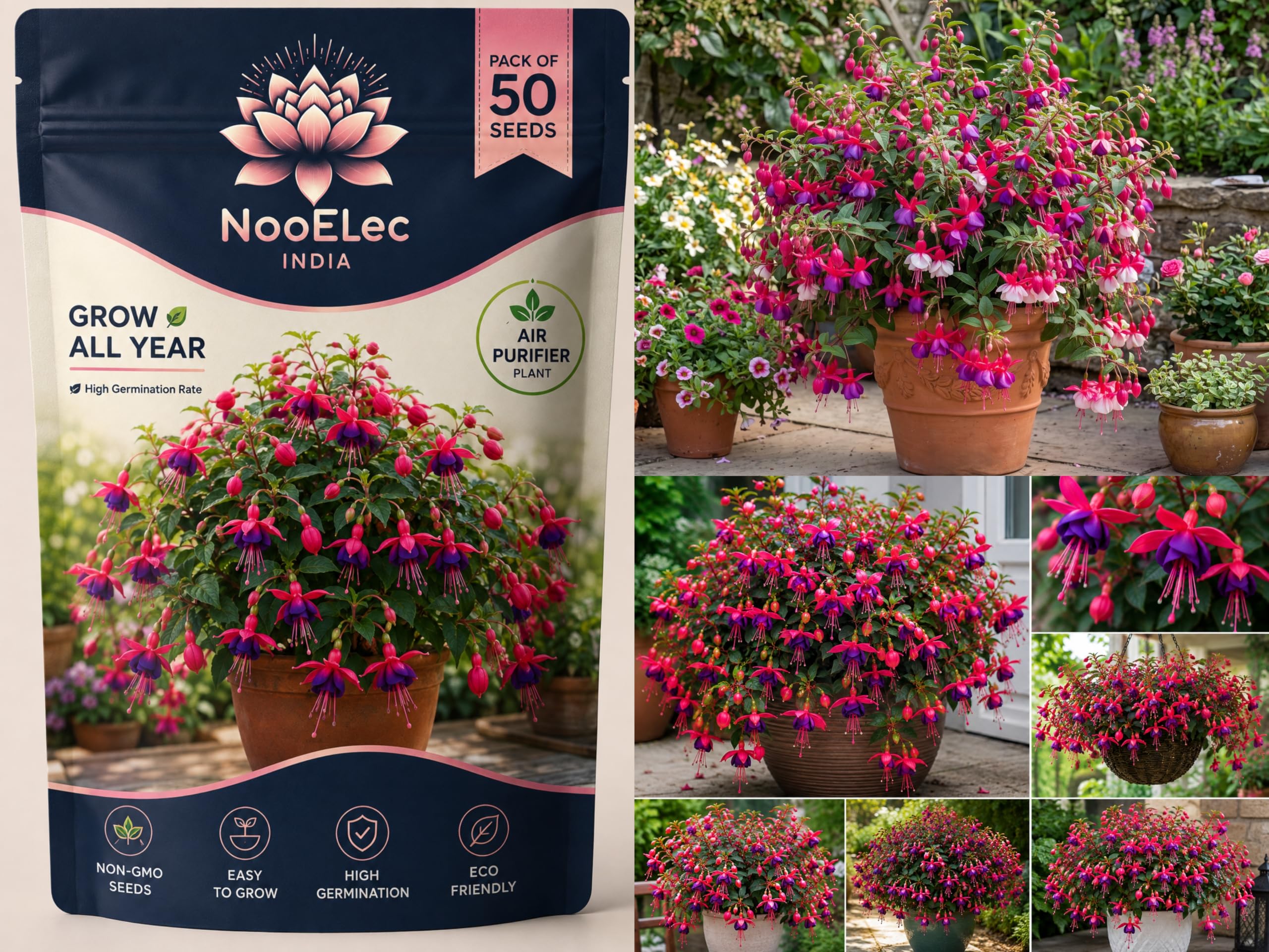 Fuchsia Dancing Doll Flower Seeds - Grow In All Seasons -Indoor/Outdoor-image-36