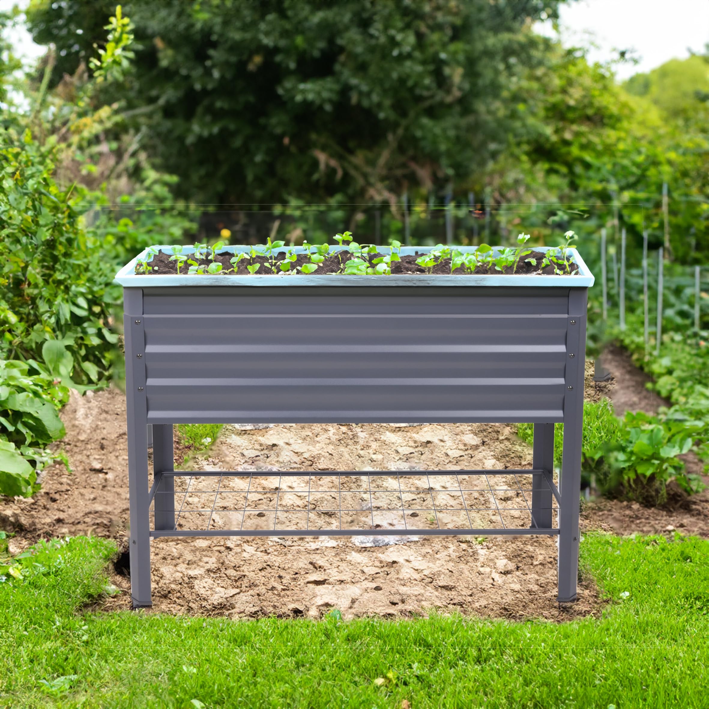 Metall Hochbeet anthrazit inklusive Pflanzenvlies - 114 x 41 cm - Anzucht Frühbeet freistehend mit Gitterablage - Garten Pflanzkasten Gemüsebeet Kräuterbeet Anzuchthilfe mit Vlies