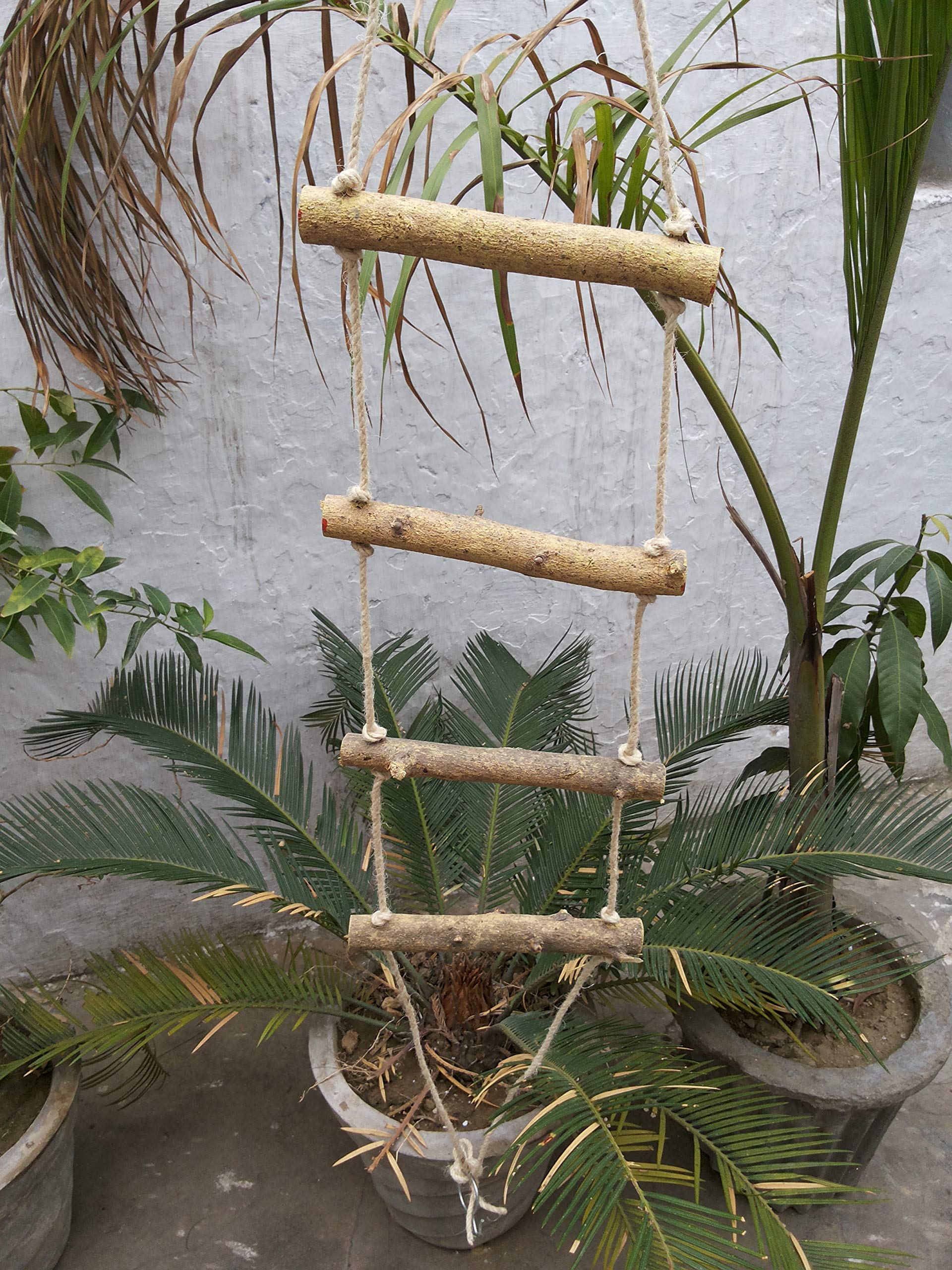 Birds Toy - Wooden & Rope Ladder for Birds to Play for Fun and Excercise Good for Canary Budgerigars Lovebirds Cockateils & Finches (B07WDNC67W) Amazon Price History, Amazon Price Tracker