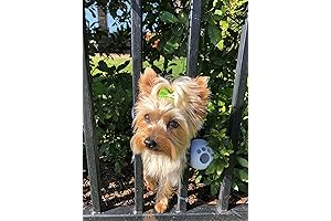 Escape-Proof Dog Harness With Attached Balls for Small Dogs