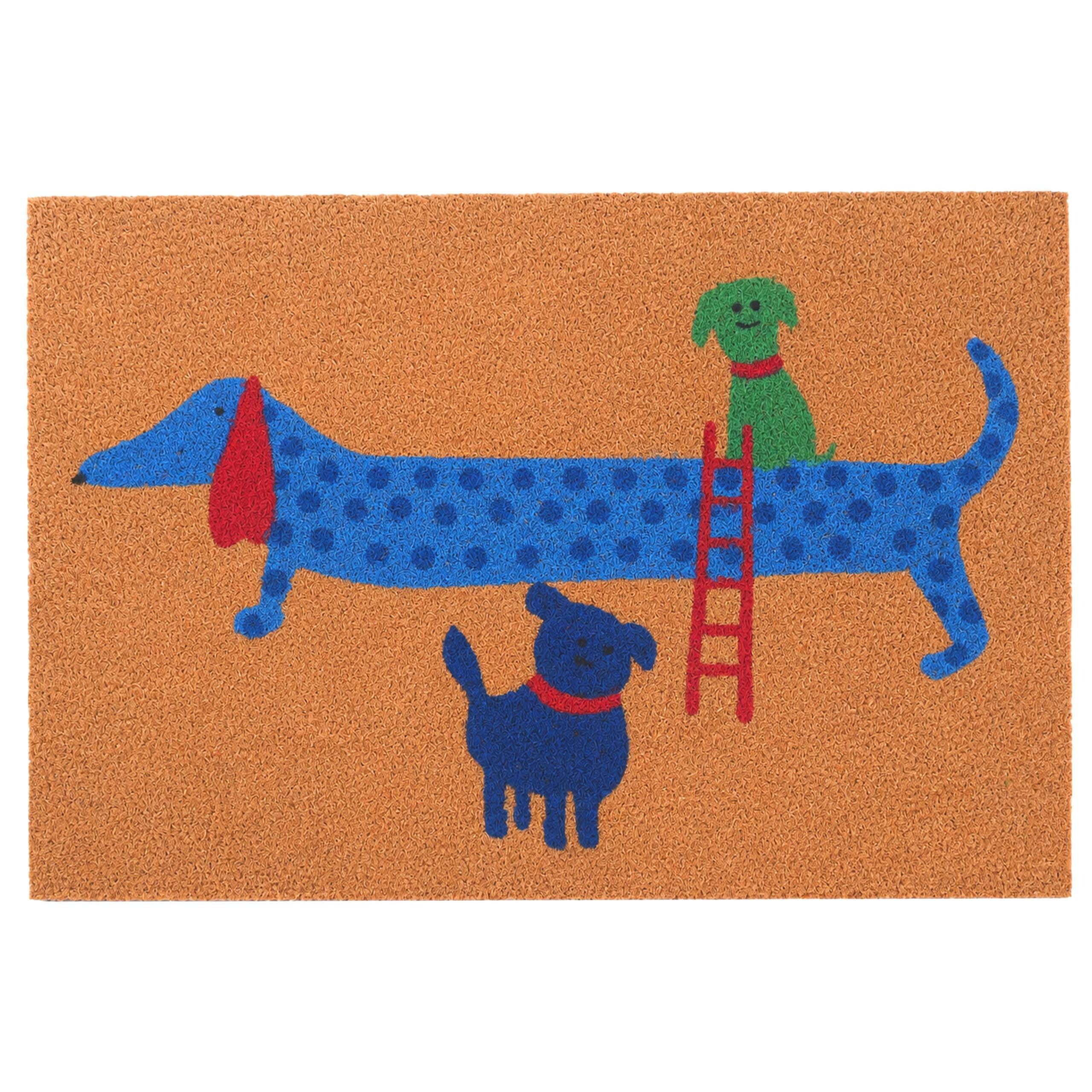 Tapis coco 60x40 cm antidérapant et paillasson fibre naturelle extérieur