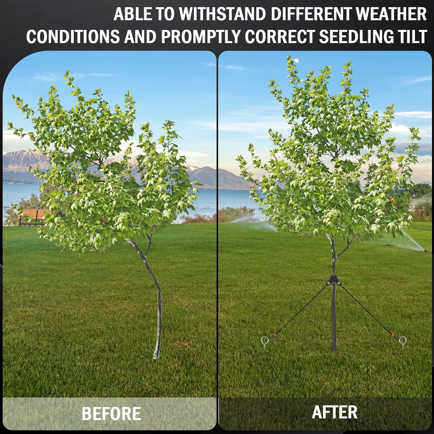 Sintuff 12セット ツリーステークとサポートキット 傾いた木用 12.2インチ 高耐久スパイラルステーク13フィートのロープ