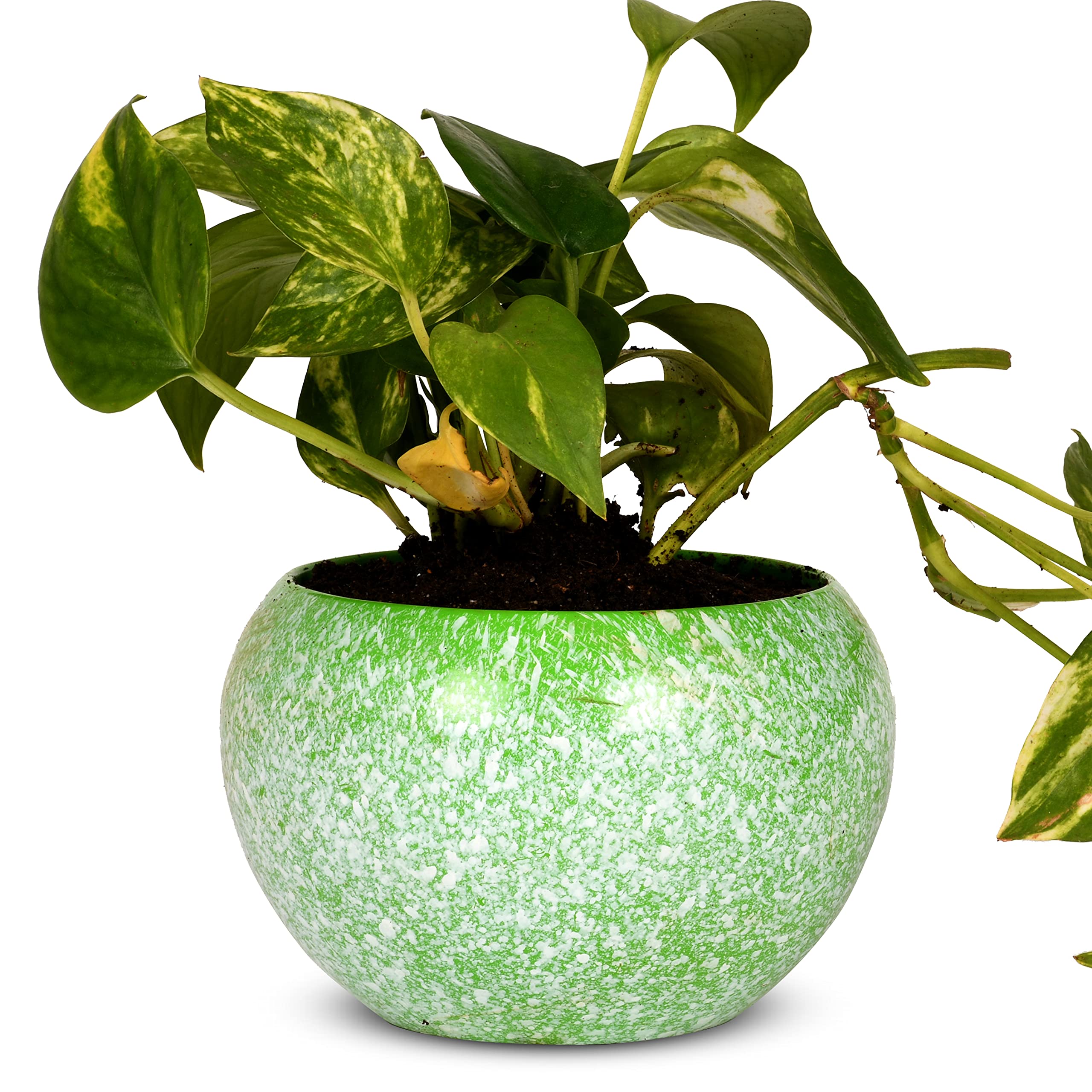 HINS Green White Print Designer Metal Round Shape Flower Plant Pot for Indoor Plants (Without Stand) Metal Pots for Indoor Plants I Elevated Garden Planter I Raised Planter I Desk Plant I Raised (B08WX4JMSL) Amazon Price History, Amazon Price Tracker