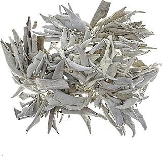 The Magic Is In You - 1 Ounce California White SAGE Loose Leaves & Stems with Smudging Instructions