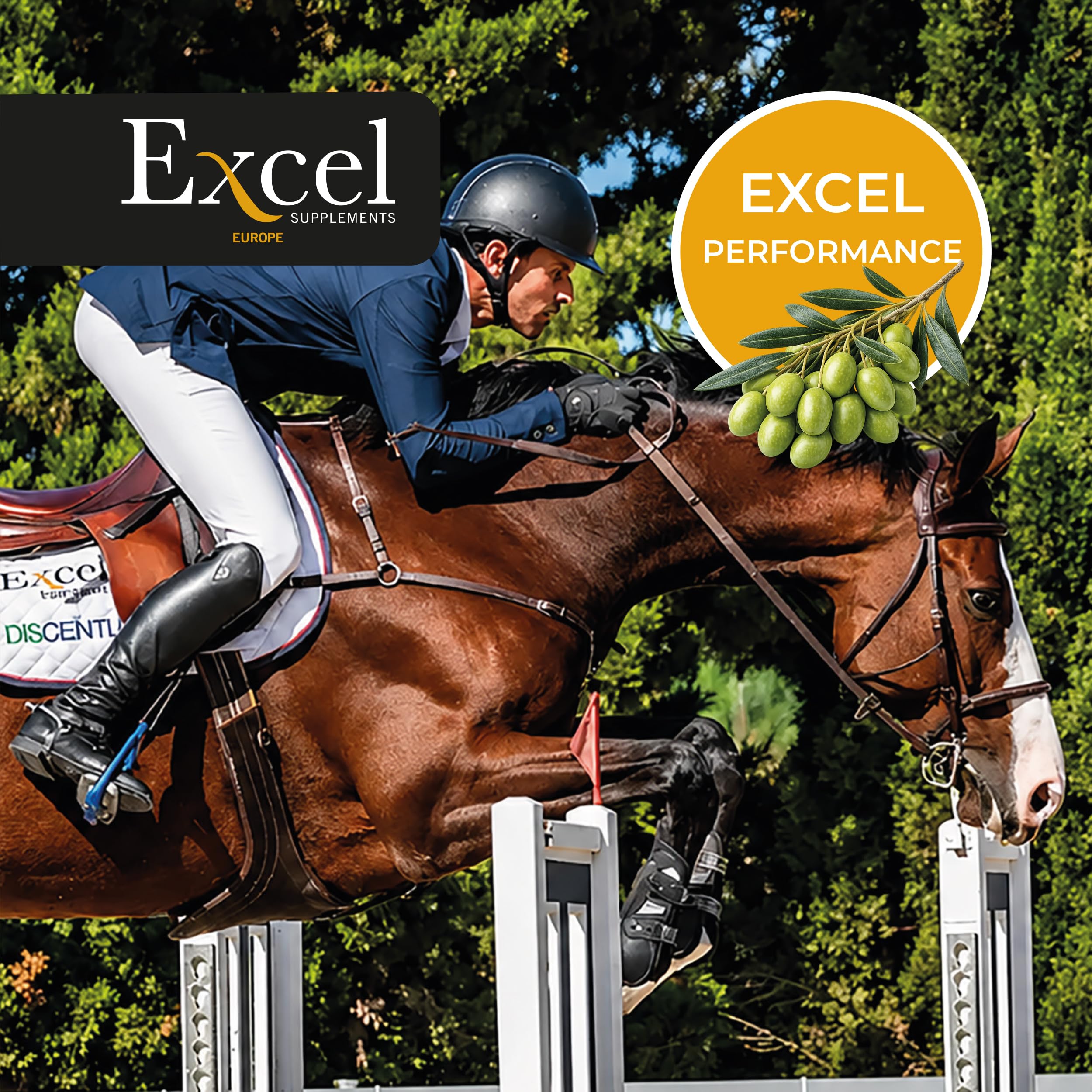 Excel SUPPLEMENTS ProElite | Suplemento de Aceite de Camelina |Caballos | Antioxidante | Antiinflamatorio | Natural 100% | Omegas 3, 6 y 9 | Desarrollo Muscular