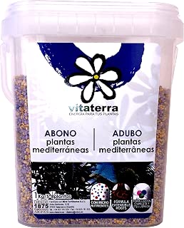 Amazon.es: Palmera - Jardinería: Jardín