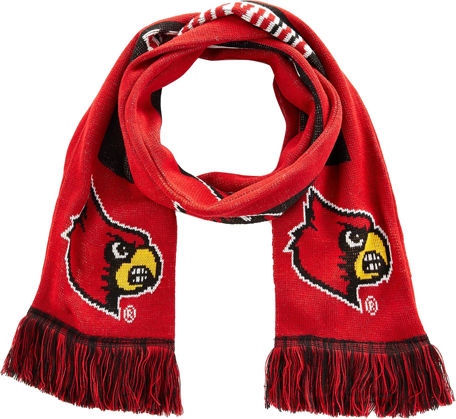 FOCO NCAA unisex Ncaa College Big Logo Scarf