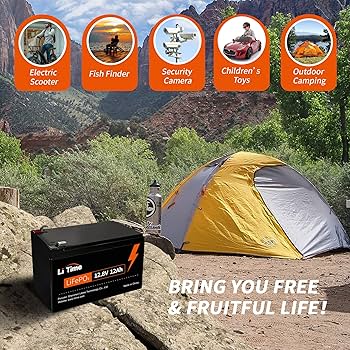 プライム・タイム　12ポンド プライム タイム|センチュリー|小林時計店-高級腕時計の正規販売