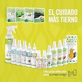 Ver la foto 7
