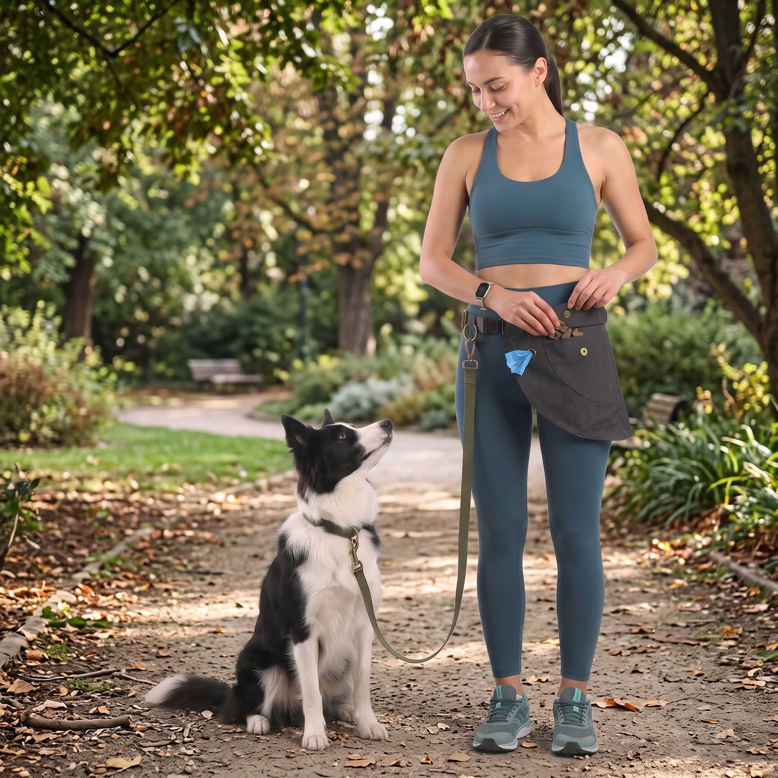 Cinturón de cadera para correr con el perro, riñonera de entrenamiento