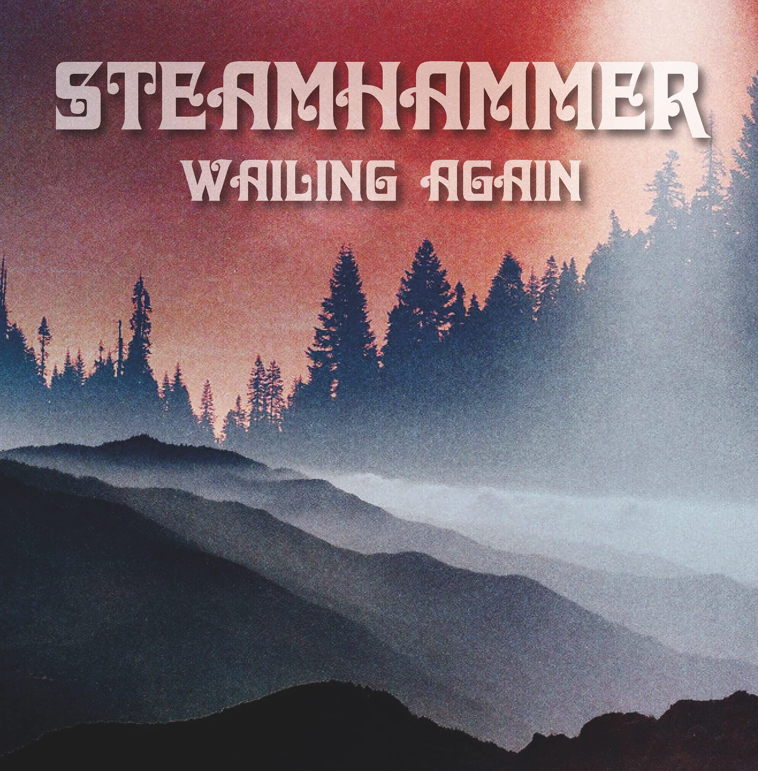 Wailing Again [VINYL]