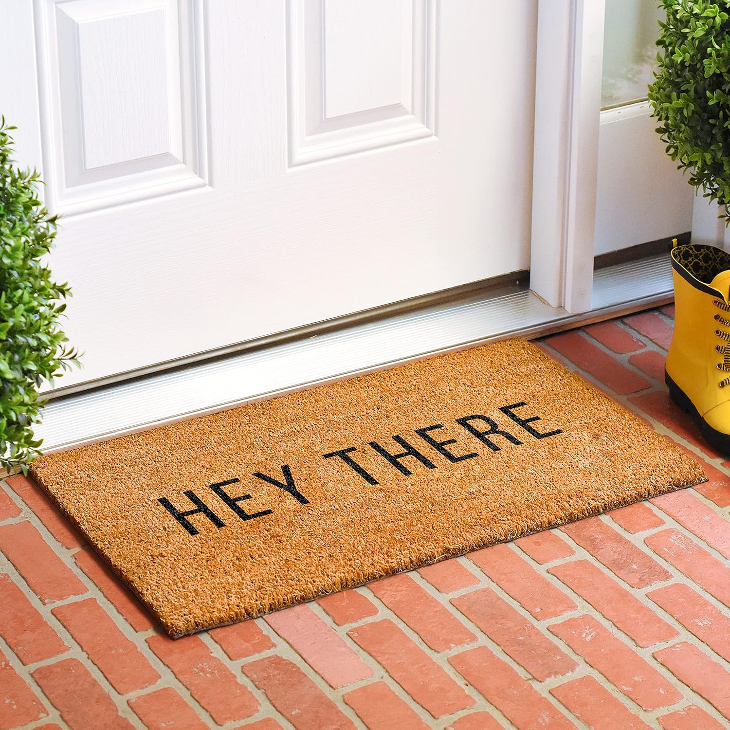 Calloway Mills Hey There Doormat, 12" x 24"