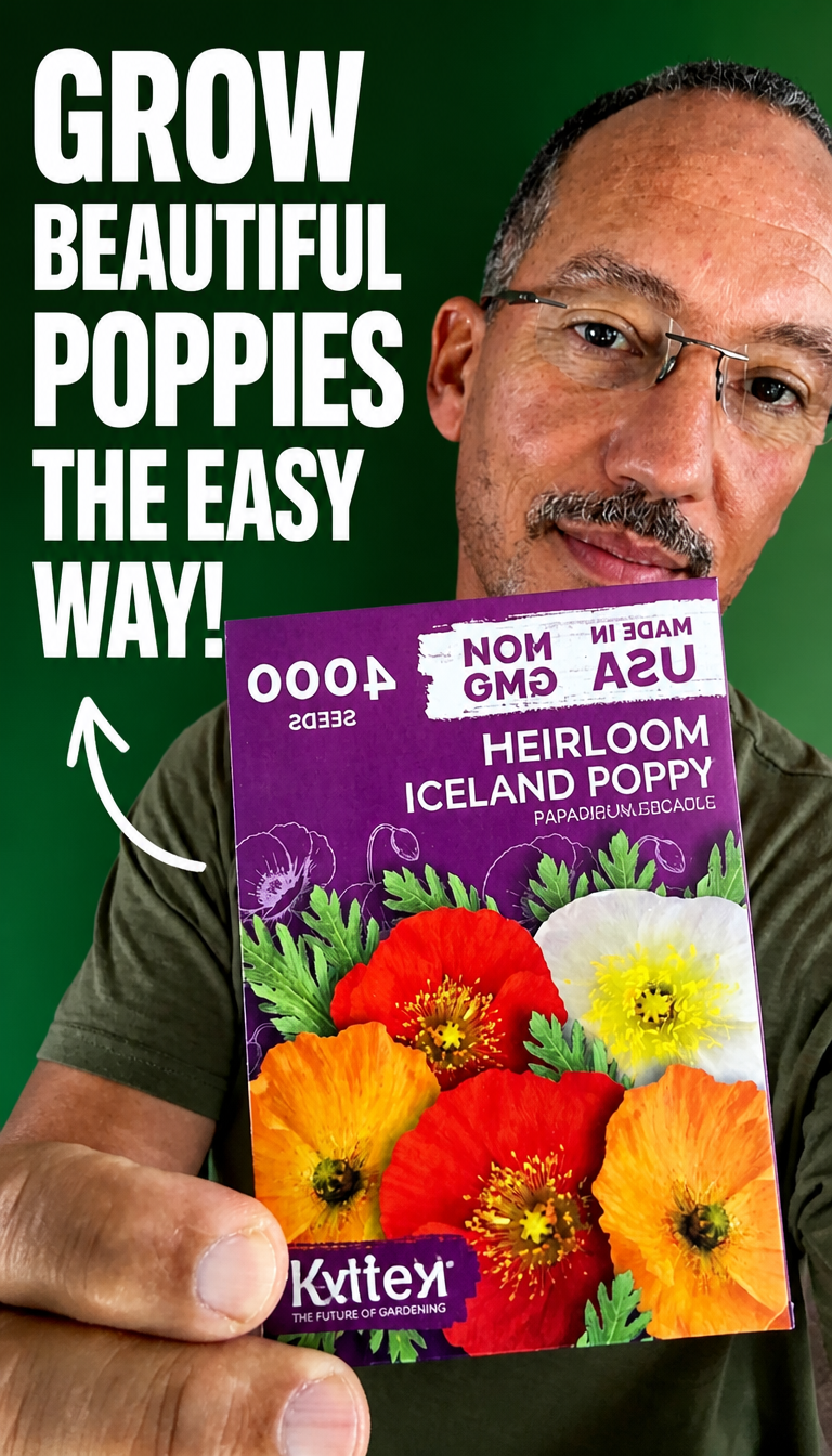 Watch Are Iceland Poppies Worth Growing from Seed on Amazon Live