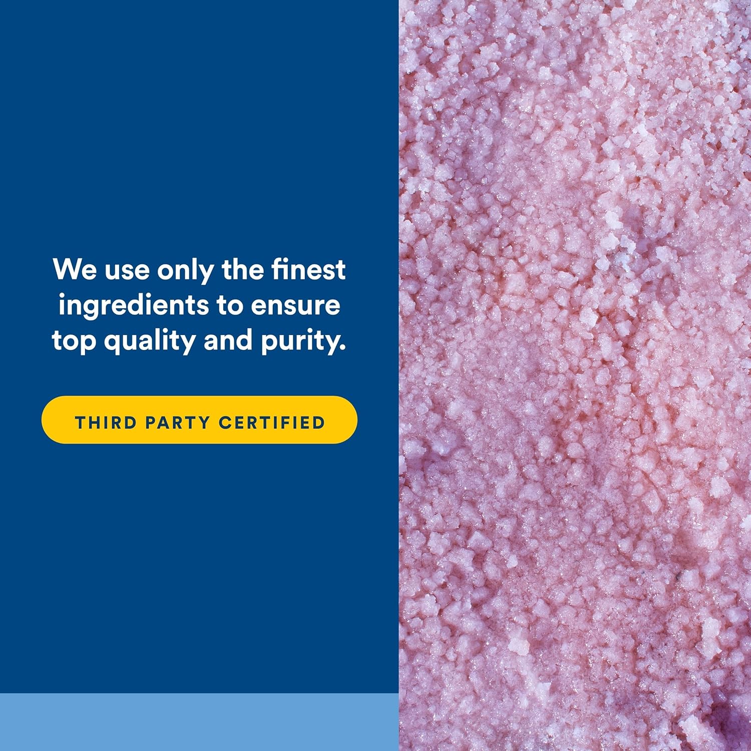 Natural Factors, Men's 50+ Multivitamin & Mineral, 1 Serving Contains Nutrition Equivalent to ½ lb of Veggies, 60 Count (Pack of 1) - Image 5