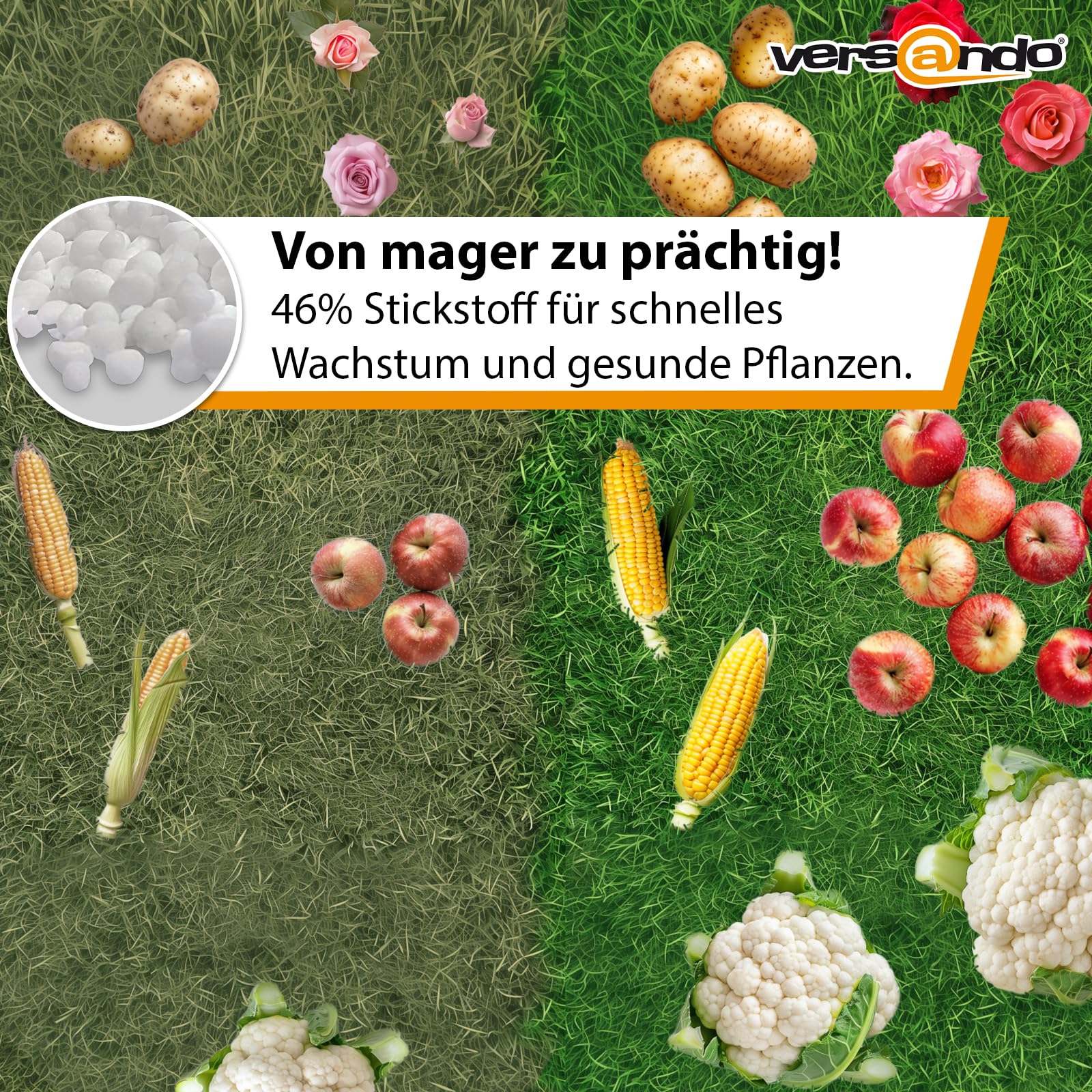 versando 5kg Stickstoffdünger bis 500m²: 46% UREA Stickstoff für Rasen, Gemüse, Blumen von Frühjahr bis Herbst, fördert üppiges Blattwachstum mit Langzeitwirkung - Premium Qualität