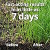 A1 Lawn, Multi-Purpose Grass Seed - Fast Growing, Hard-Wearing Lawn, DEFRA Approved, 5kg