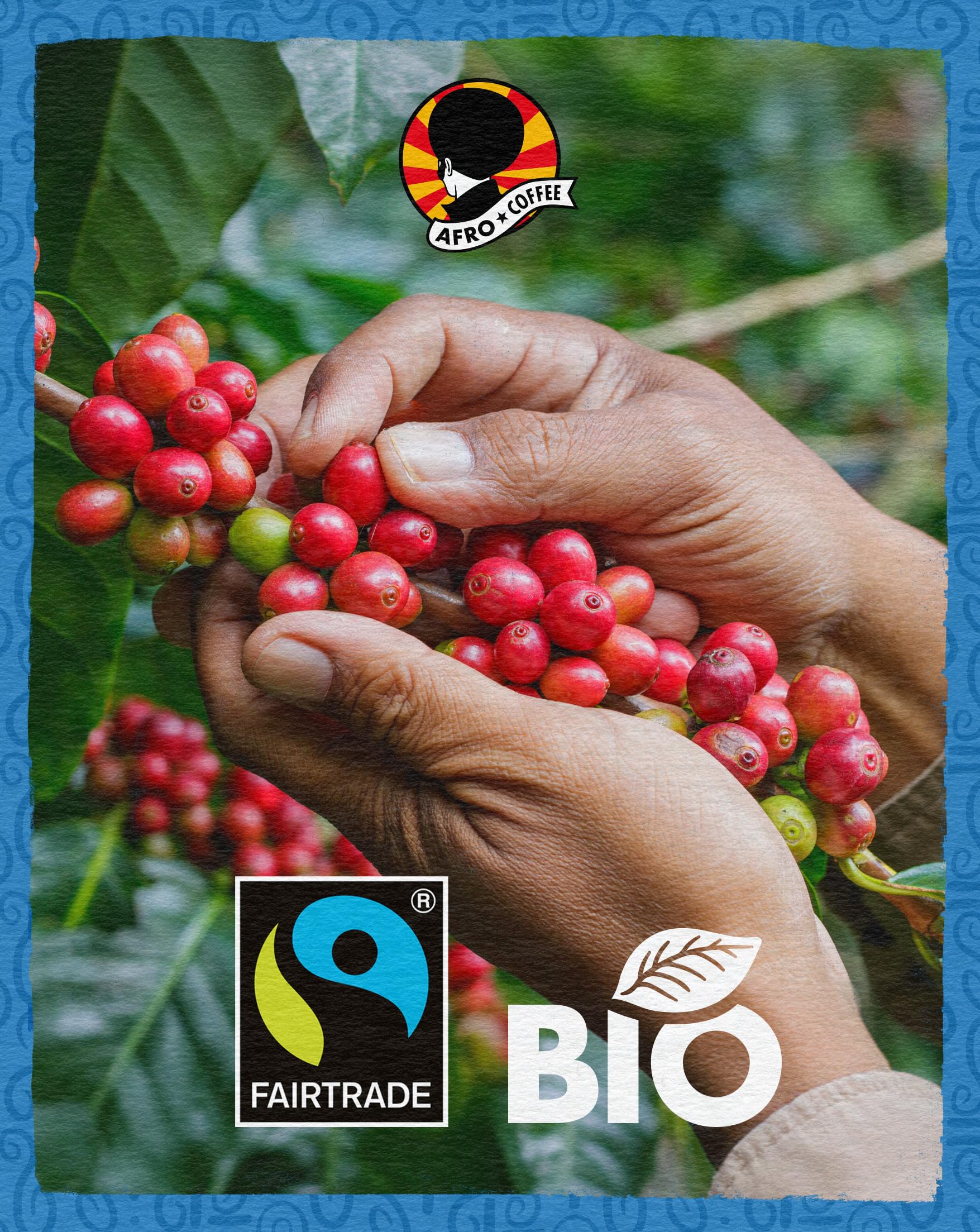 AFRO COFFEE Mild & Aromatic Decaf Bio I 12 Pack I 120 Premium Kaffee Kapseln Fairtrade I Arabica Bohnen entkoffeiniert I in kompatiblen Kaffeekapseln* I Ostafrika I mittel geröstet & säurearm