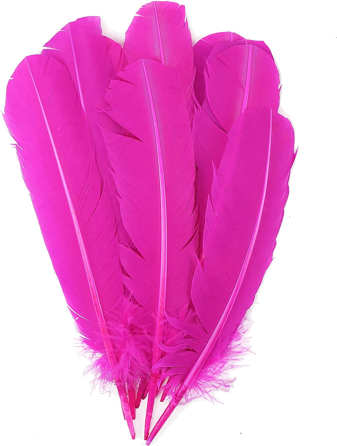 Zucker - Turkey Quills by Pound - Bulk Feathers for Crafting, Decoration, Home Décor, Holiday Decorating, Weddings and Events, Cosplay, Costumes - Left Wing Feathers - Shocking Pink