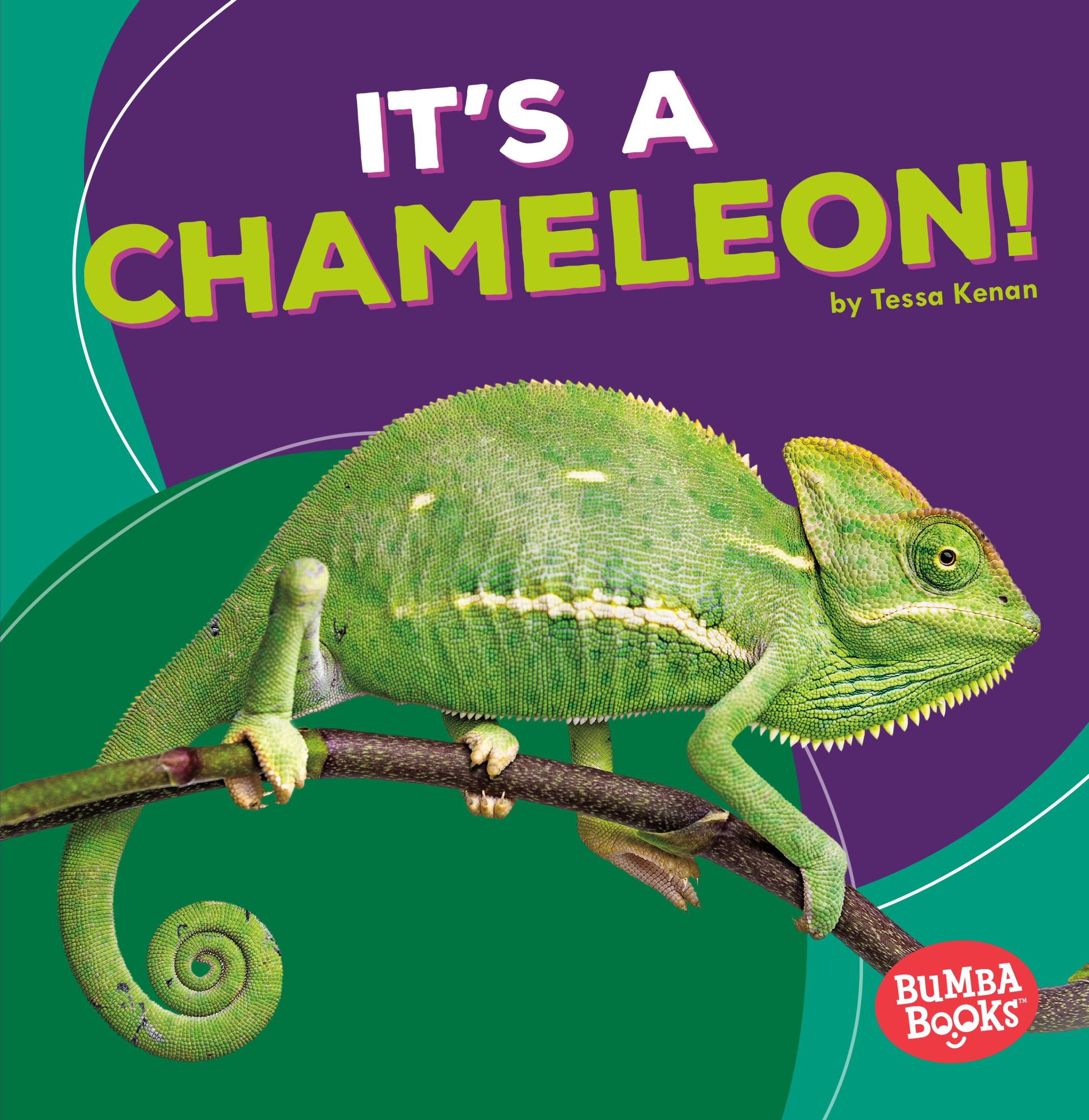 It's a Chameleon! (Bumba Books (R) -- Rain Forest Animals)