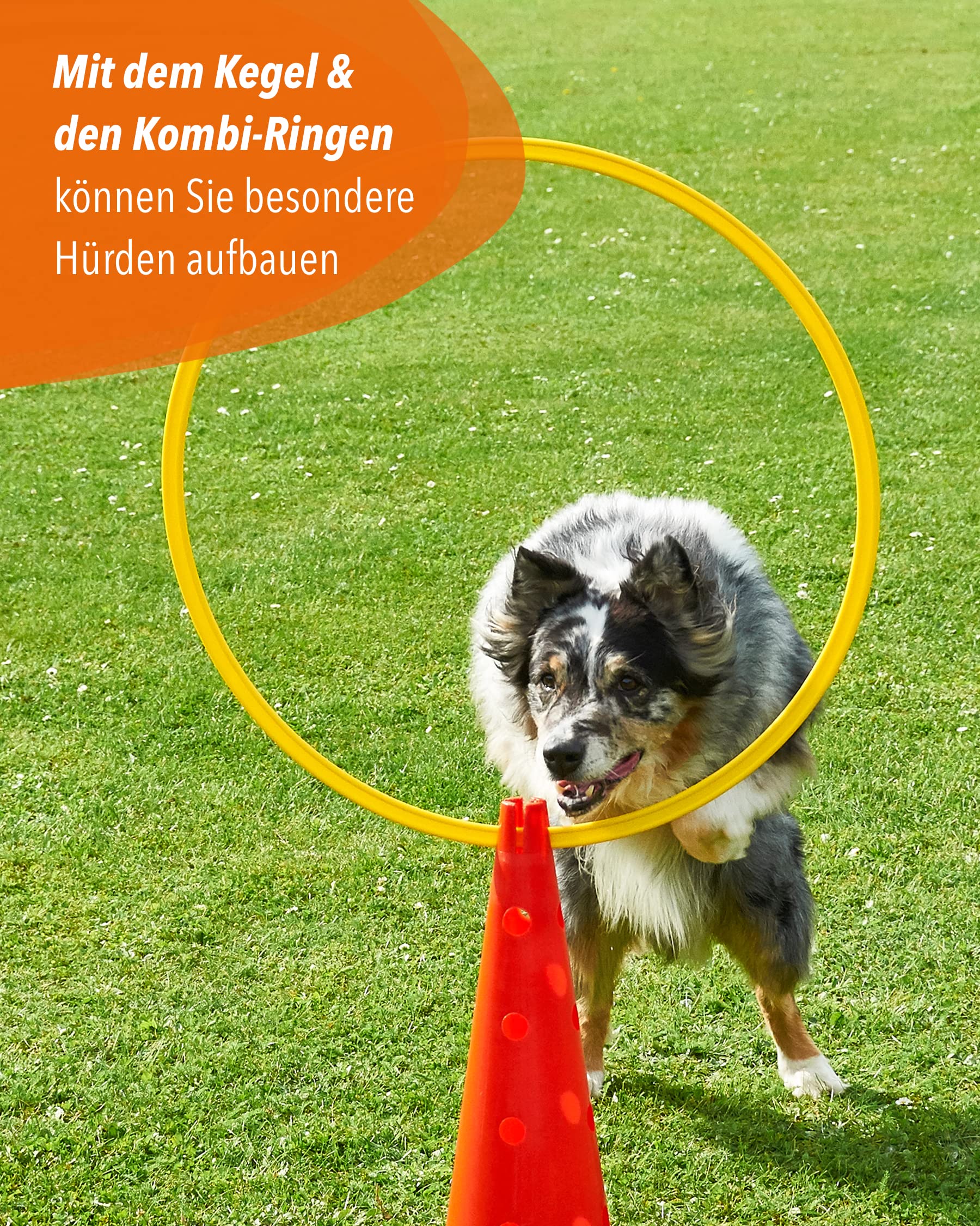 Kombi Kegel 40 – 4er Set – für den Aufbau von Hürden- oder Slalom-Parcours für Agility-Training – Sprung & Slalom für Hund, Sport, Pferd & Kind