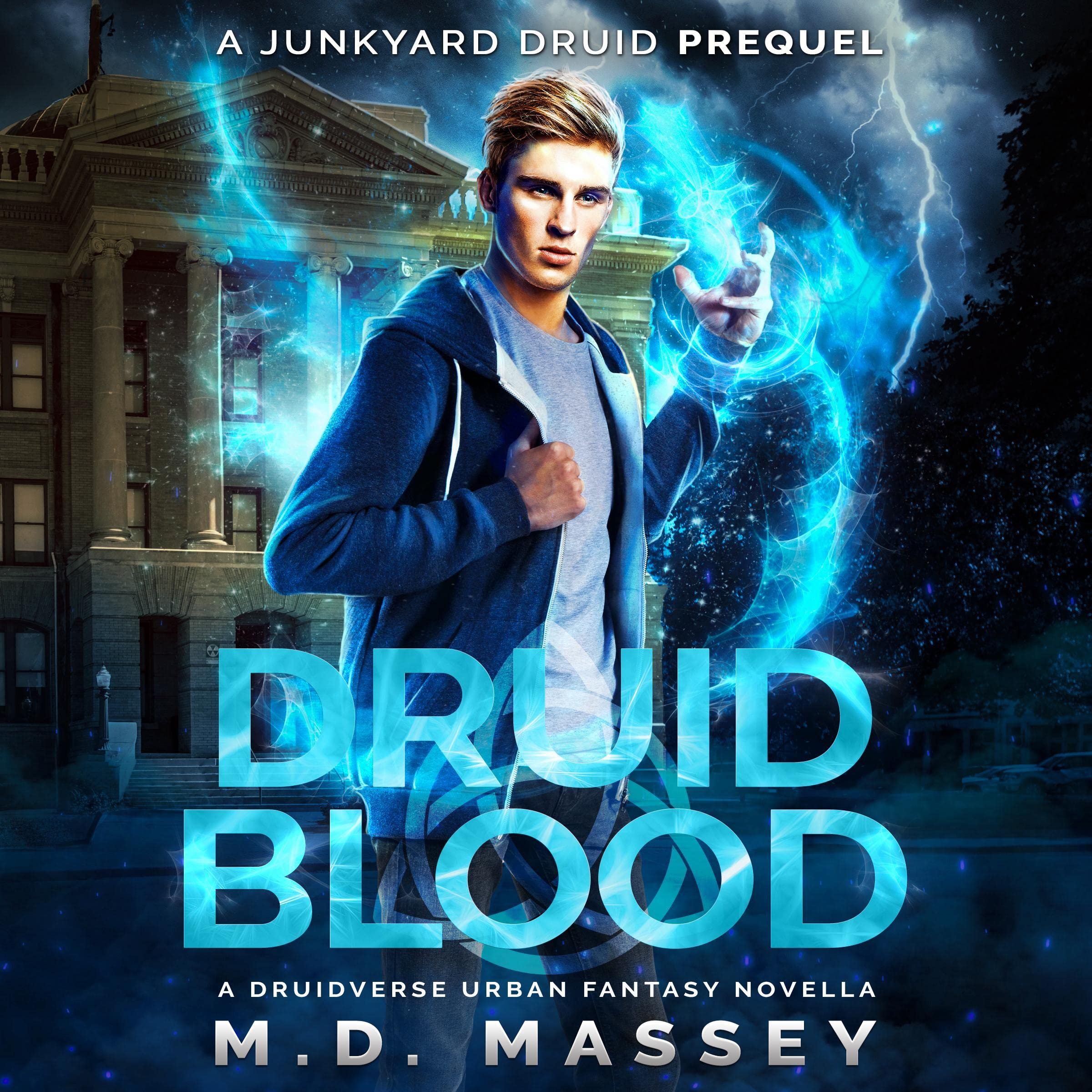 Cover art for Druid Blood