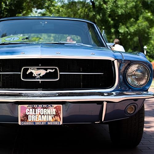 Miniatura 10 de Placa de matrícula personalizada para bicicletas, bicicletas y carritos de golf, 6 x 3 pulgadas, con texto en inglés Your Text Here, placas de