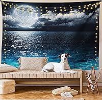 Vista 47 de Ambesonne Tapiz de paisaje urbano, vista nocturna al patio con sillas de café de calle, plantas en macetas, estampado de Roma, colgante de pared