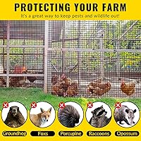 Vista 5 de Tela Metálica de Alambre Recubierto de PVC 24'' x 25' Malla de 1/2 pulgada Valla de Alambre de Pollo Recubierto de Vinilo Negro Calibre 19 Valla