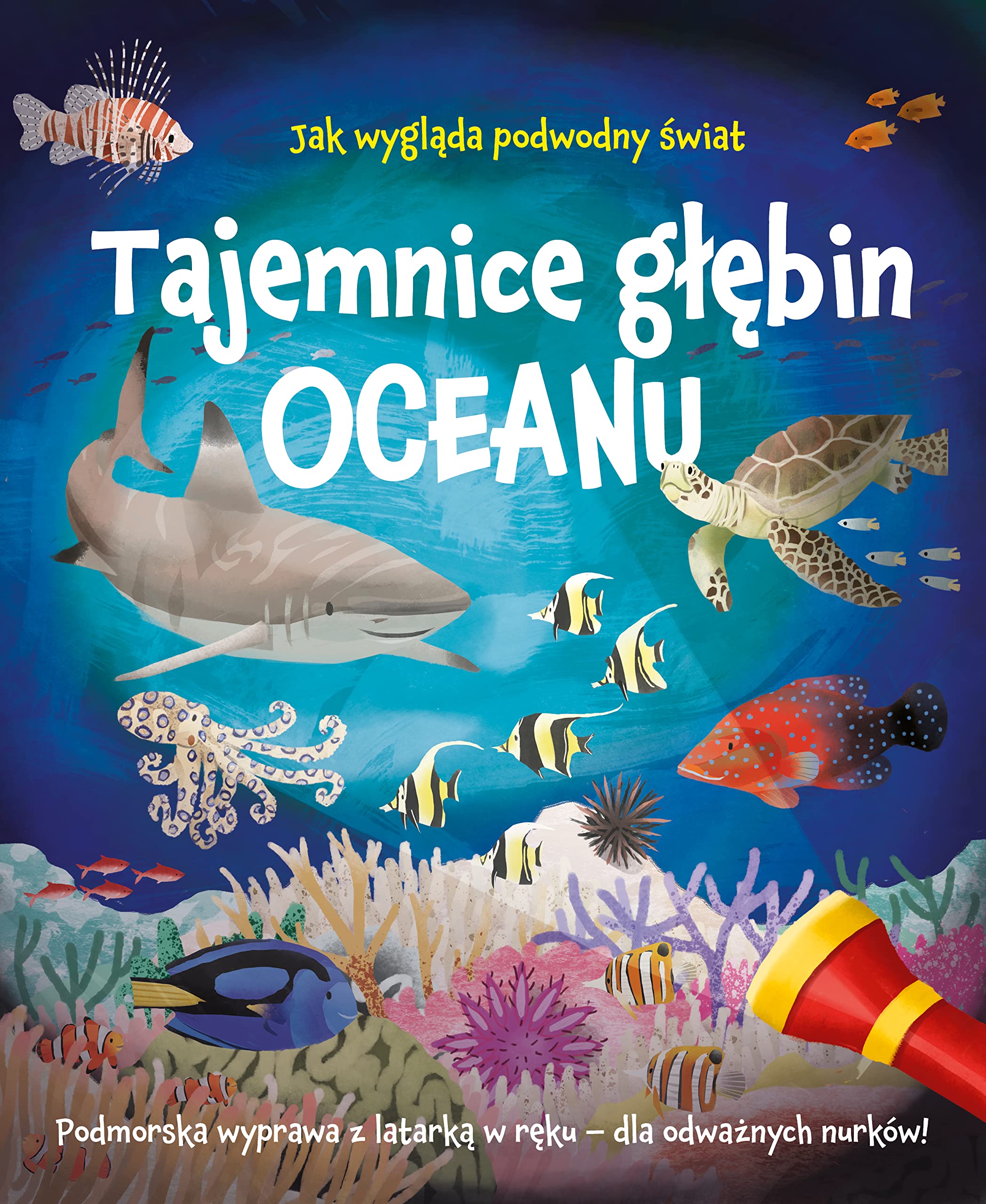 TAJEMNICE GŁĘBIN OCEANU: Podmorska wyprawa z latarką w ręku – dla odważnych nurków