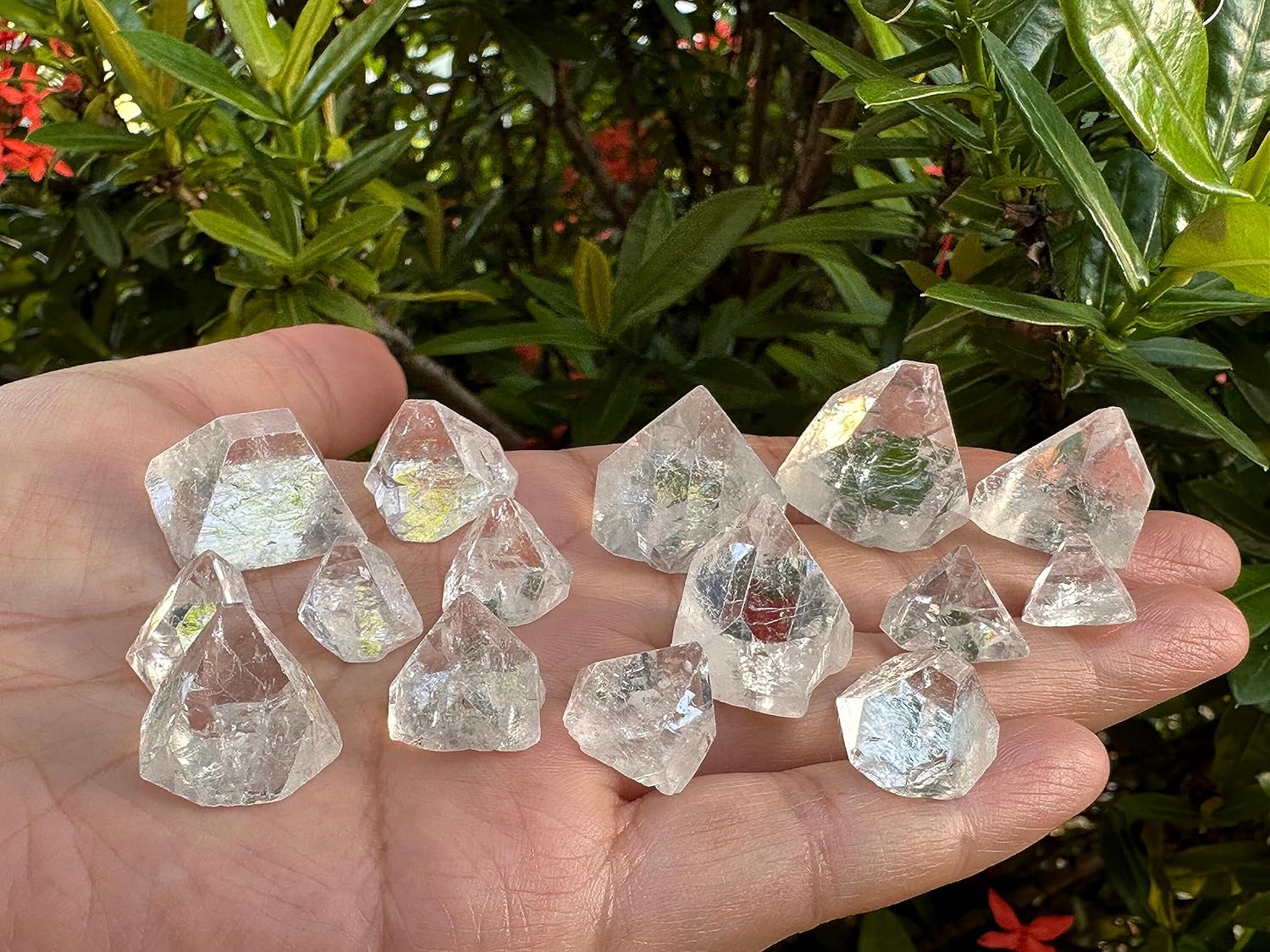 GAF TREASURES Apophyllite Tips, Apophyllite Point, Apophyllite Pyramid, Some with Rainbow Inclusions, Raw Crystals and Stones (4 oz)