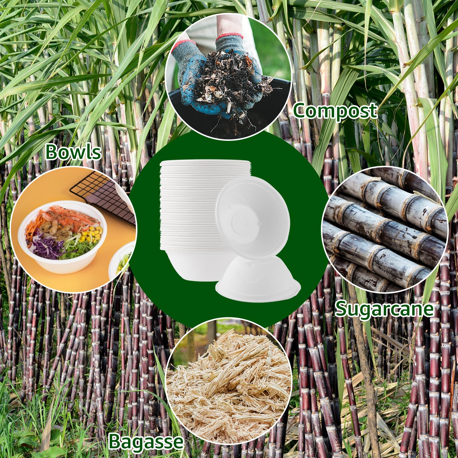 100 Bols Jetables 750 ml, Bols à Soupe en Bagasse de Canne à Sucre, Compostables et Résistants (100 pièces), Pour Fêtes, Pique-nique, Usage Alimentaire, Blanc