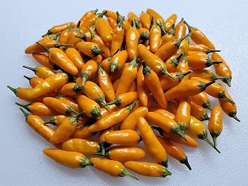 Yellow Pequin Pepper 10+ Seeds