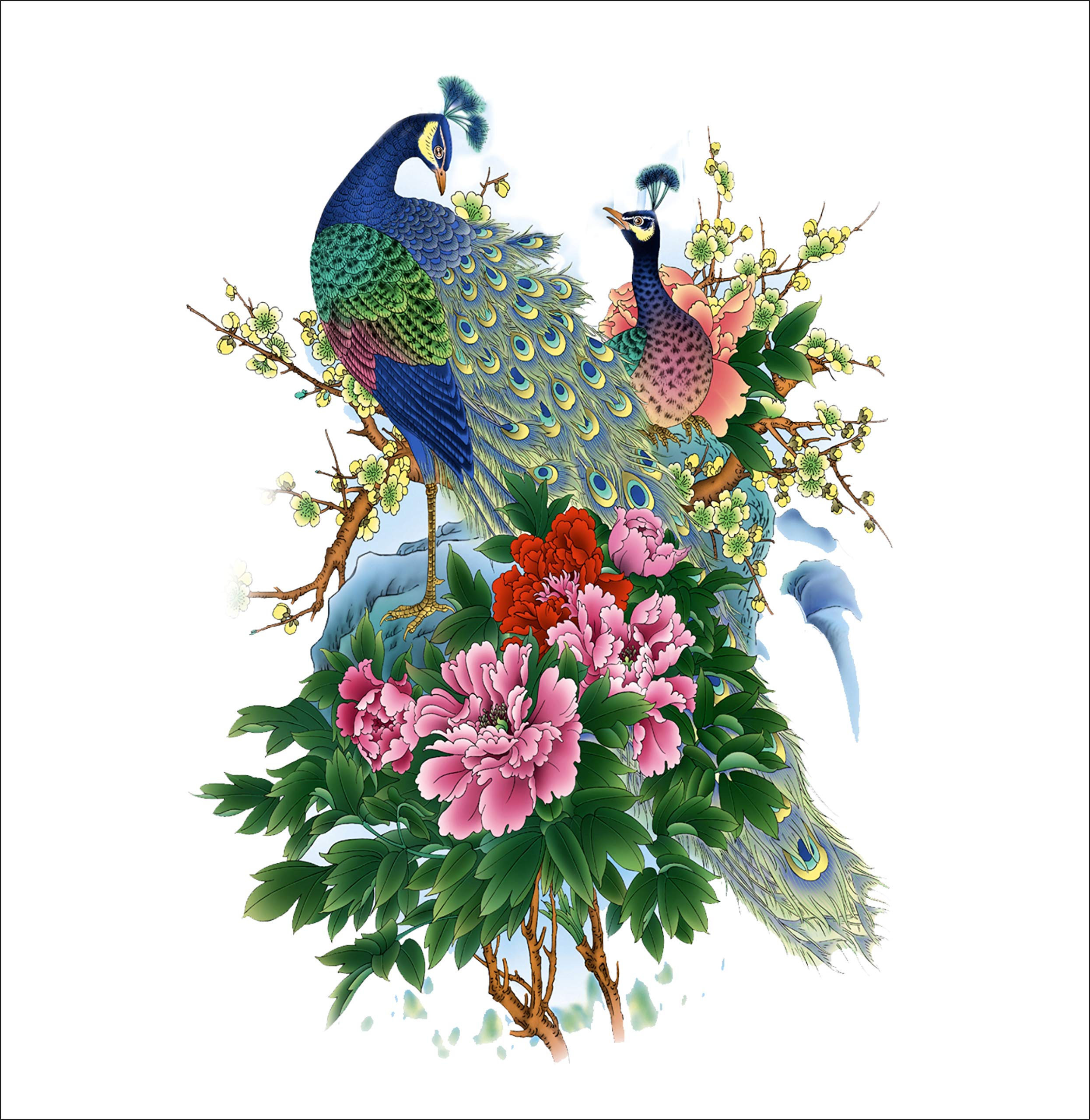 Sky Decal Lovely Peacock Multicolour Wall Sticker for Home décor (PVC Vinyl Covering Area 81cm X 58cm) (B08QS9FYM2) Amazon Price History, Amazon Price Tracker