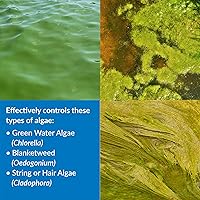 Vista 3 de API POND ALGAEFIX Algae Control 1-Gallon Bottle